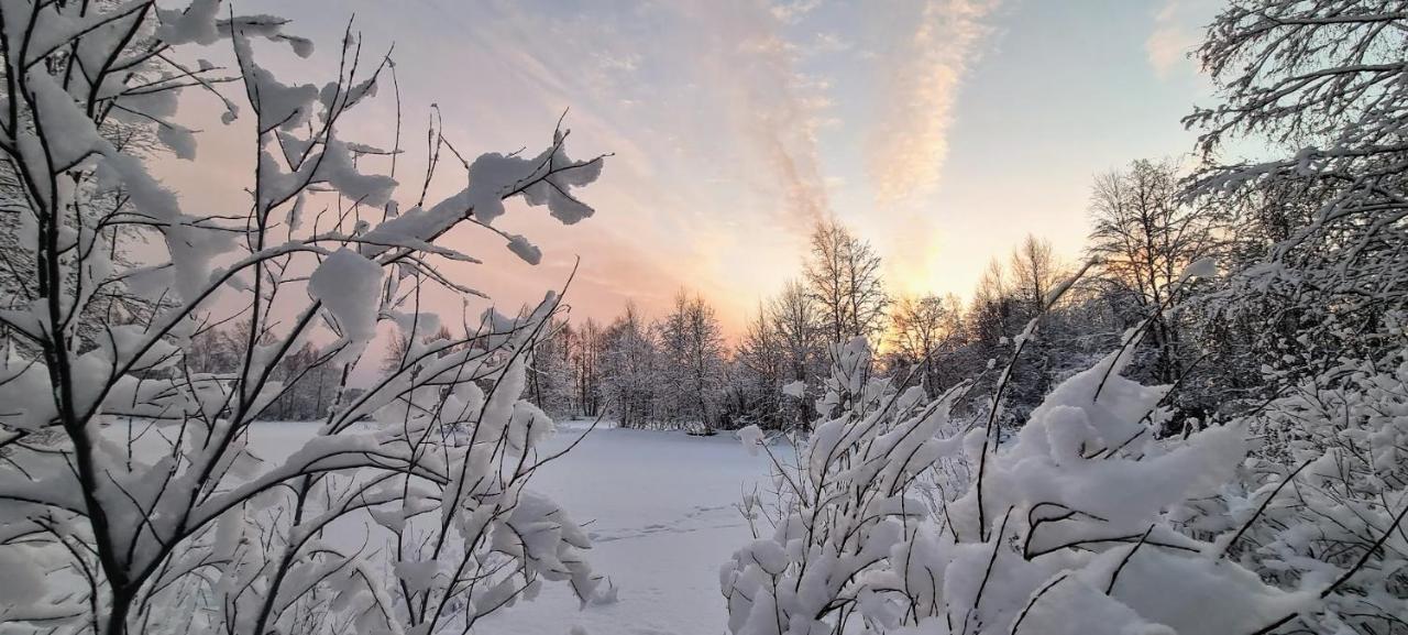 Cozy Log Cabin By Invisible Forest Lodge Rovaniemi Extérieur photo